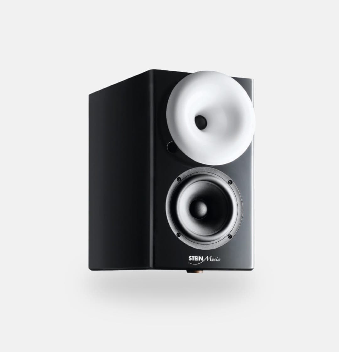 zx9 speaker